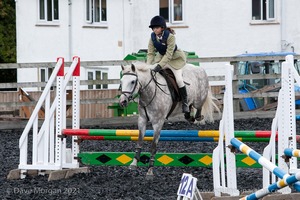 Class 5 - Fences not above 2'6